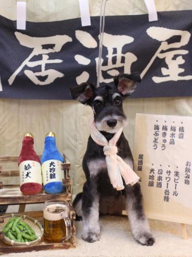 20240615音ちゃん